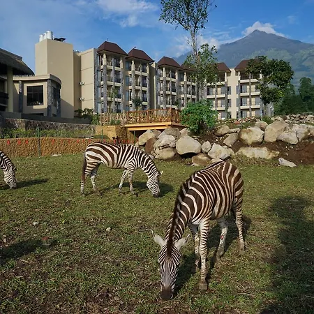 Baobab Safari Resort-3